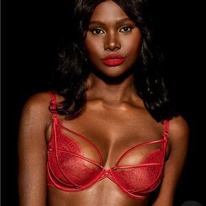 Honey Birdette Tessa Set 32DD bra, Small garter and XS thong